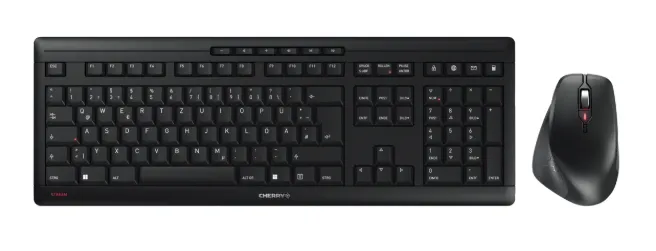 CHERRY JD-8550CS-2 klavye Fare dahil Ev / Ofis RF kablosuz QWERTZ Çekçe, Slovakça Siyah
