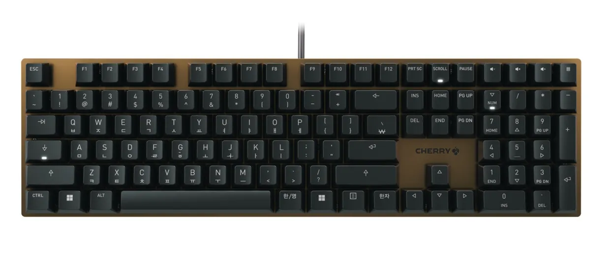 CHERRY KC 200 MX klavye Oyun USB QWERTY Korece Siyah, Bronz
