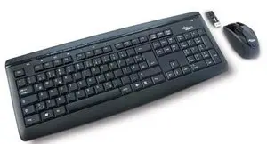 Fujitsu LX450 (IT) S26381-K376-L485