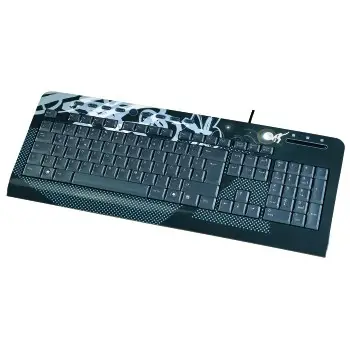 Hama Boarder 00053824