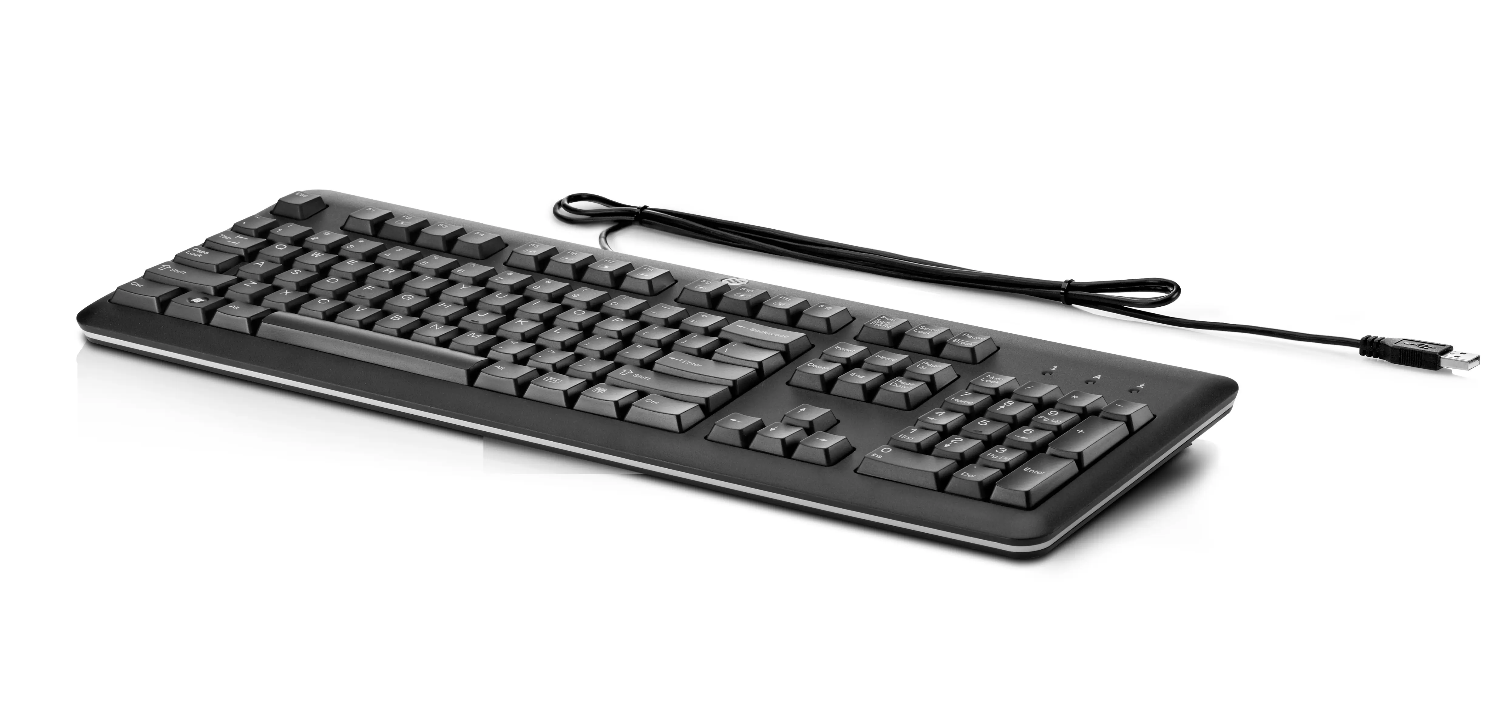 HP USB Klavye 4QL33AA