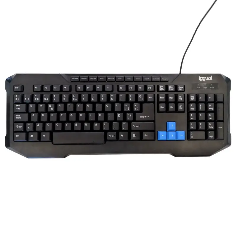 iggual IGG317495