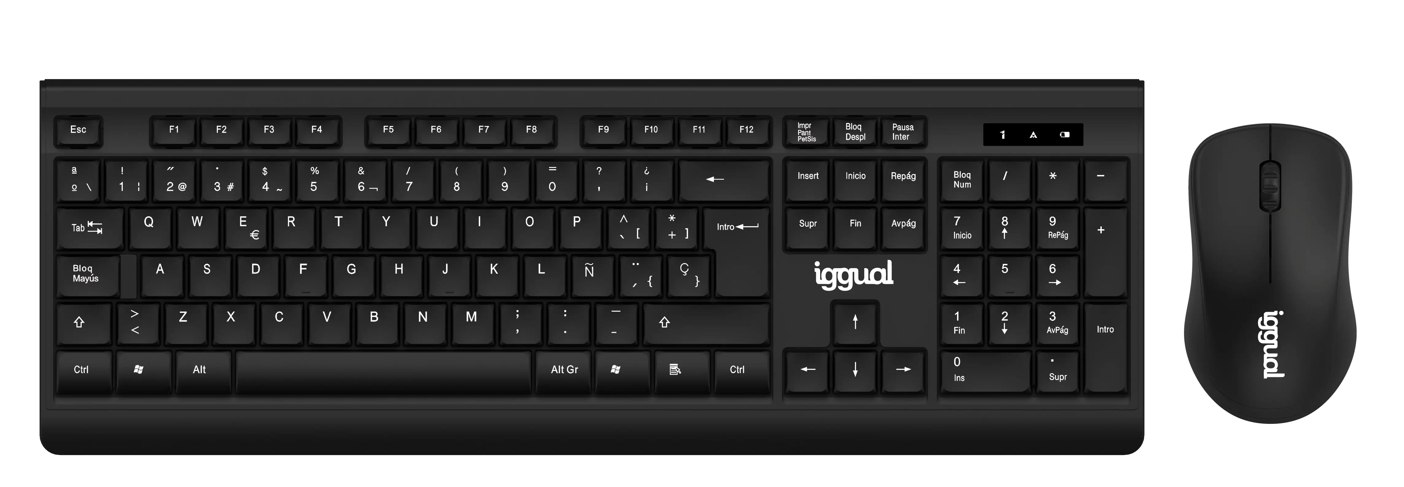 iggual IGG317600