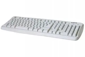 NGS Cute White