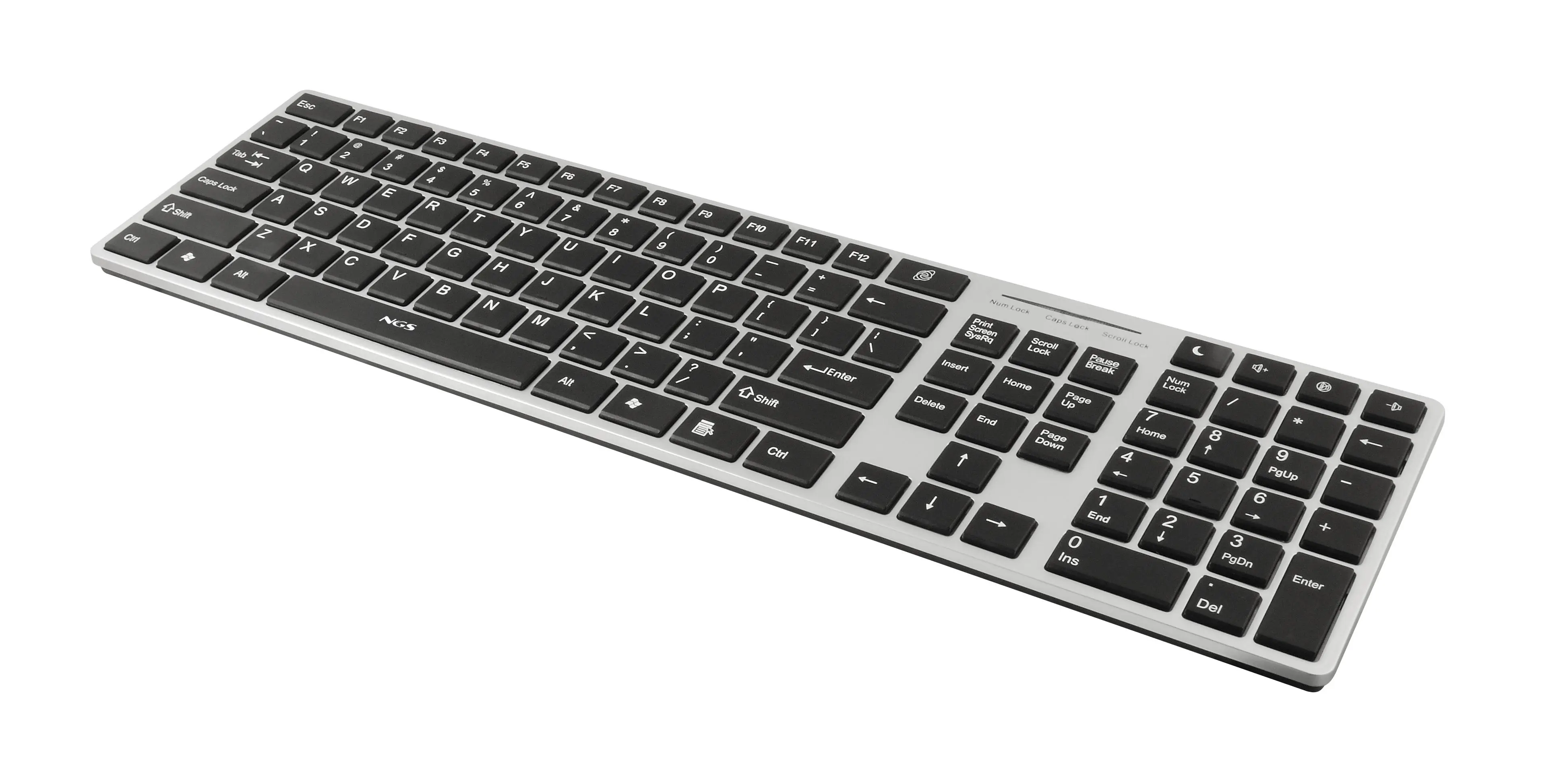 NGS Ebony