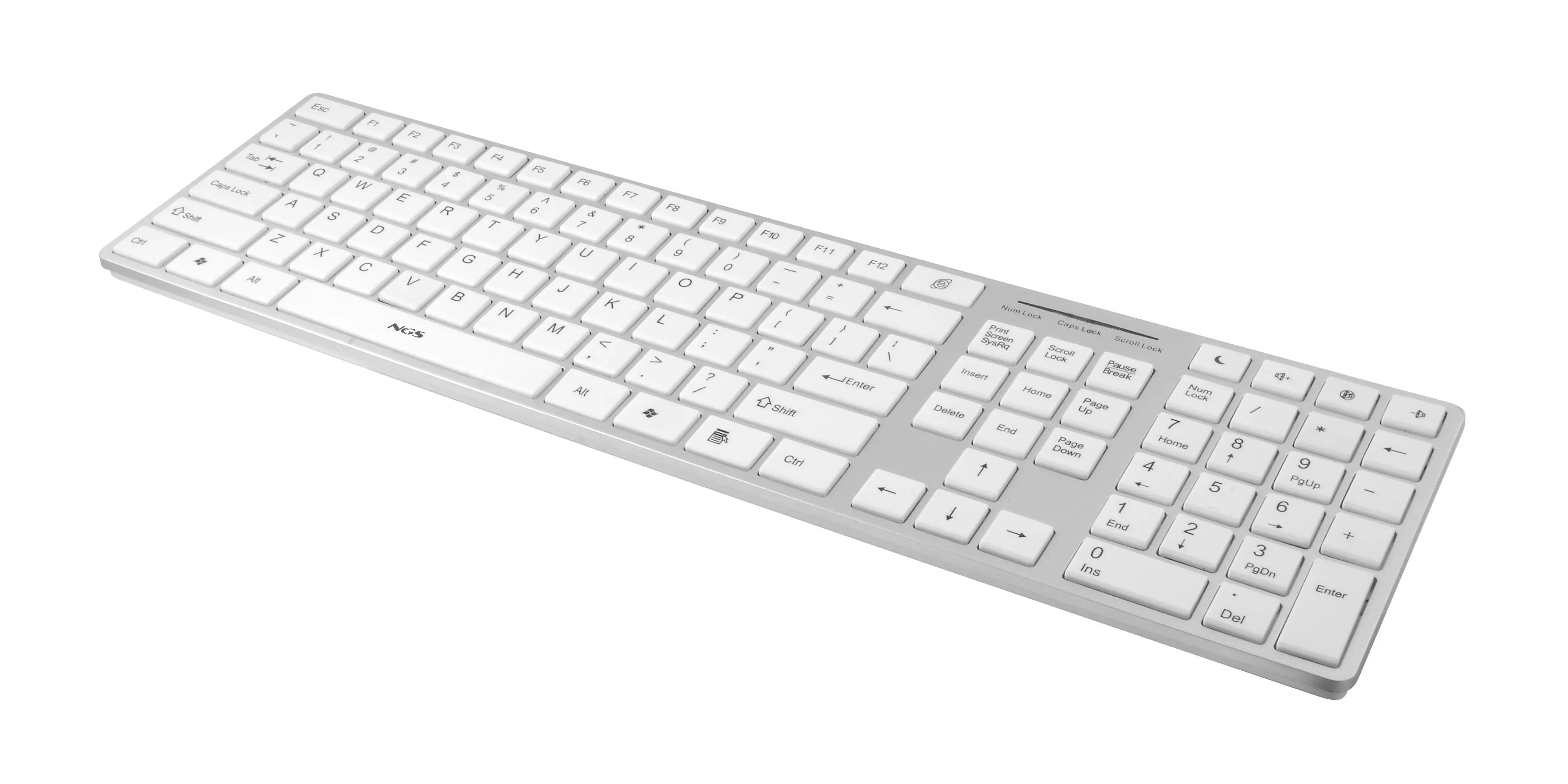 NGS Ivory