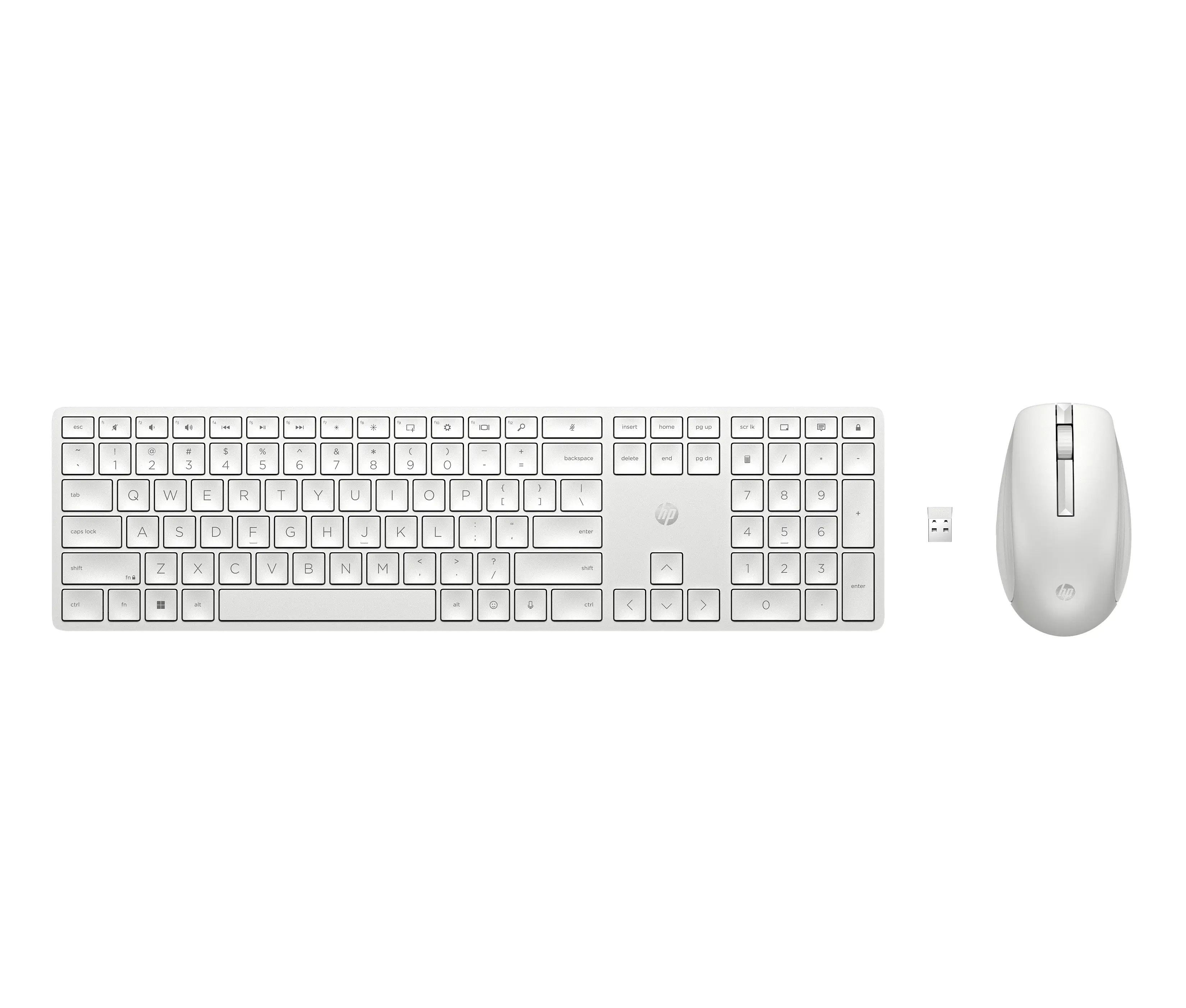 HP 650 Kablosuz Klavye ve Fare Birleşimi 4R016AA
