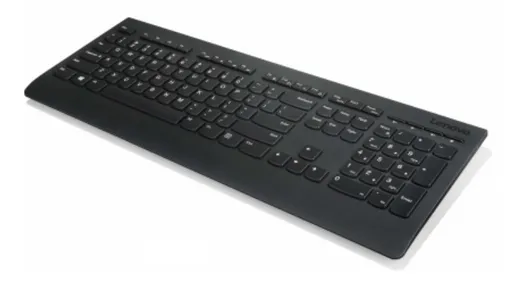 Lenovo Professional 4X30H56842