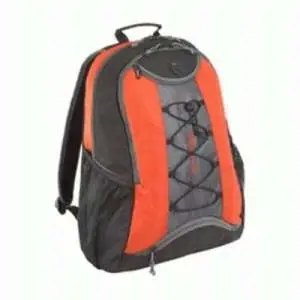 Targus Gerney Backpack TSB028US