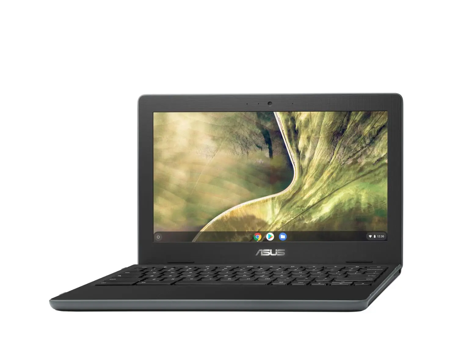 ASUS Chromebook C204EE-GJ0052