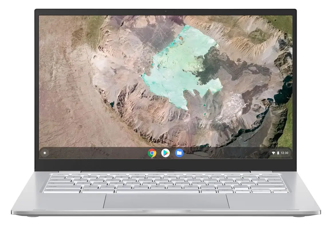 ASUS Chromebook C425TA-AJ0061