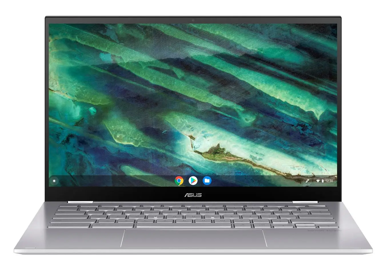 ASUS Flip Chromebook C436FA-E10598
