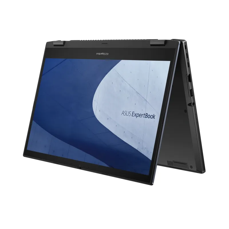 ASUS ExpertBook B2502FBA-Q73P-CB