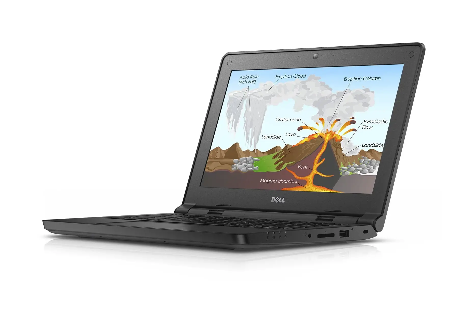 DELL Latitude 3150 3150-8951