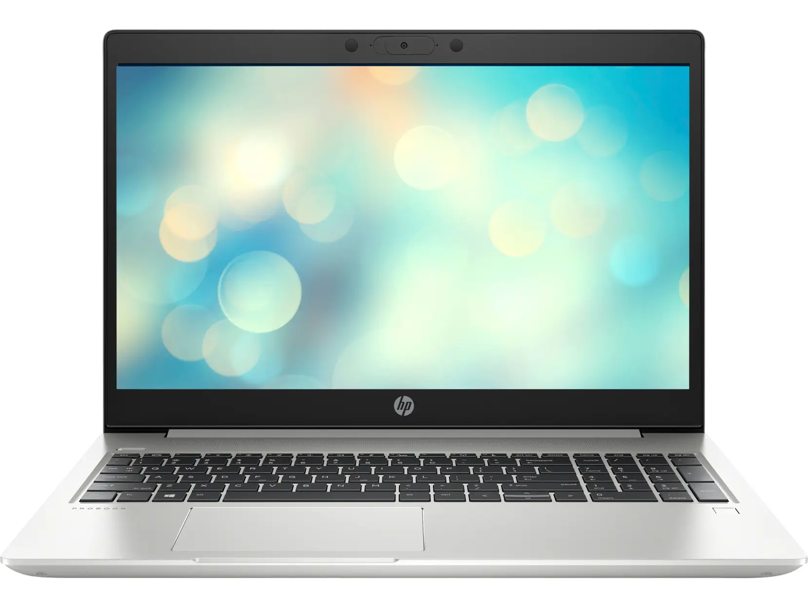 HP ProBook 455 G7 213U1ES 213U1ES#ABD