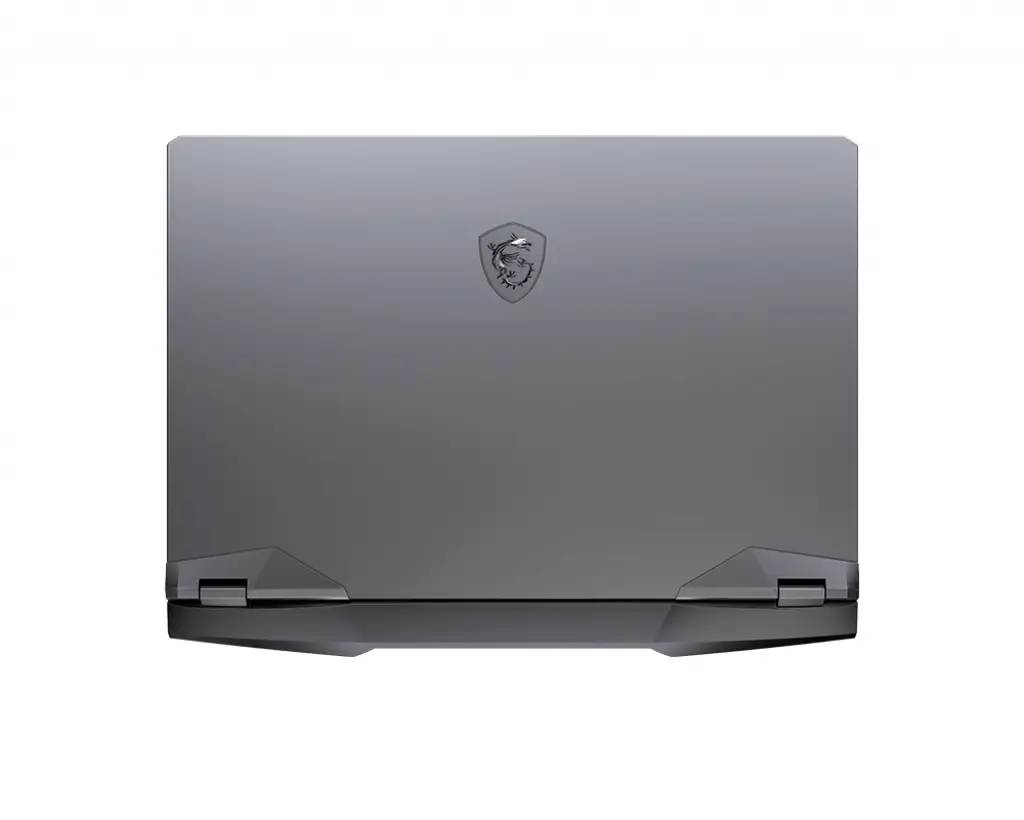 MSI GE Gaming GE66 10SFS-072 Raider 001541-072