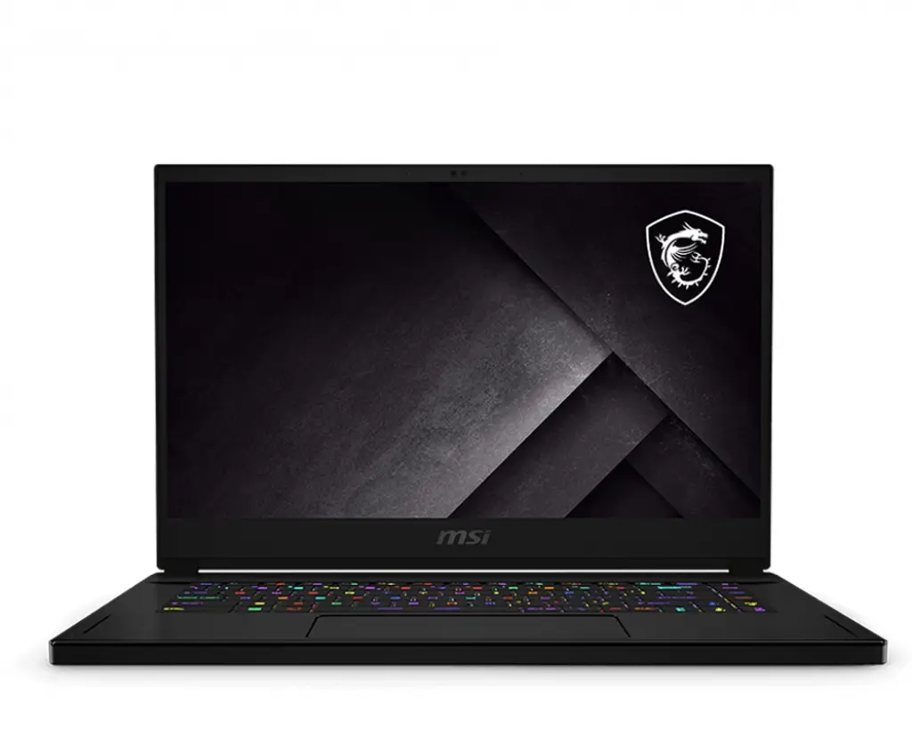MSI GS Gaming GS66 Stealth 10UE-209FR GS66 10UE-209FR