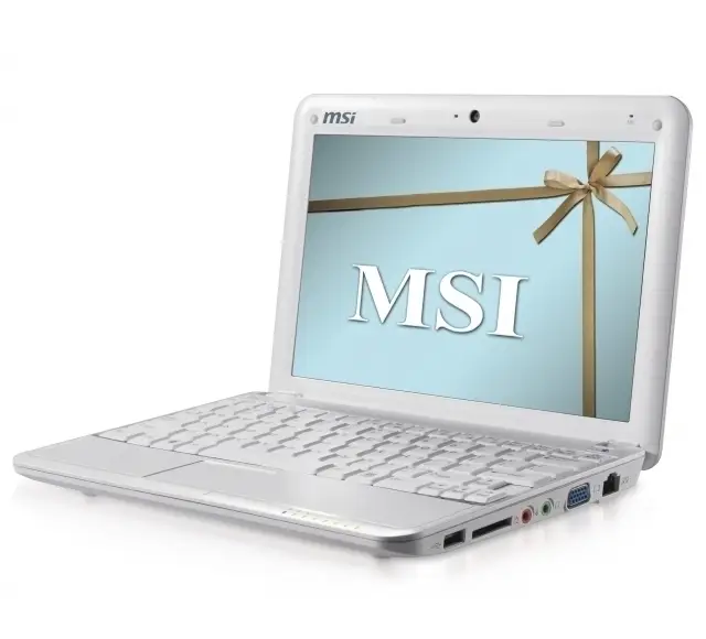MSI Wind U100-244NE