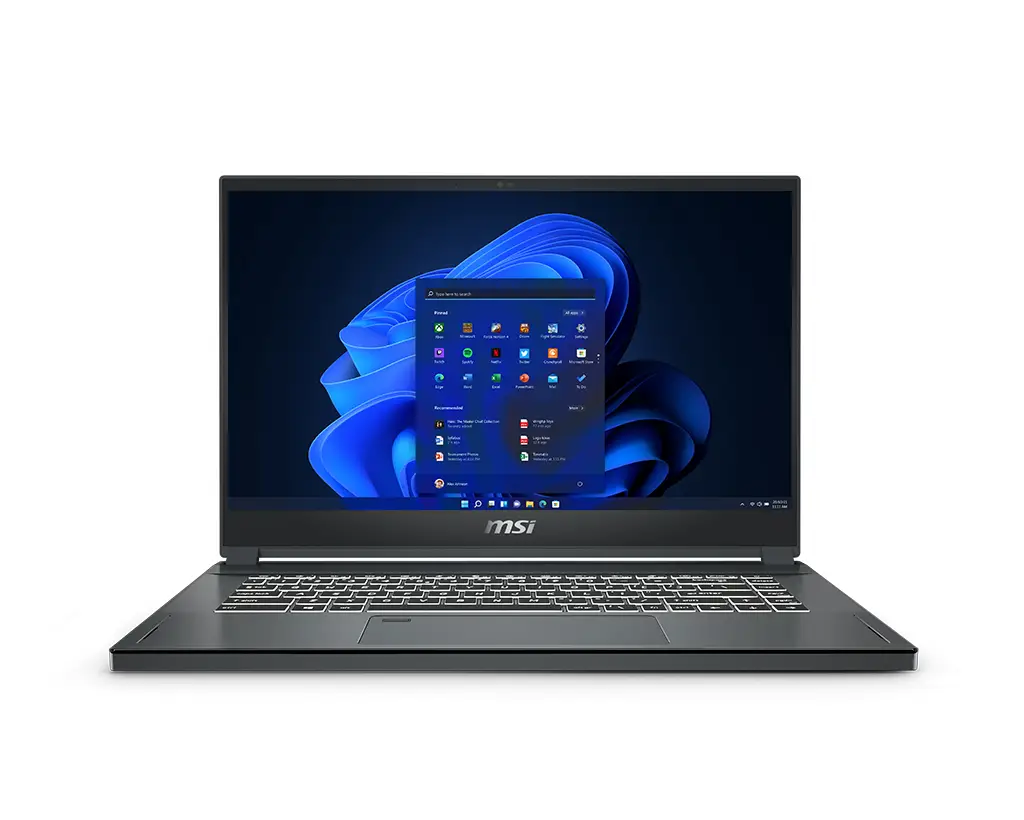 MSI Workstation 10TKT-080 WS66080