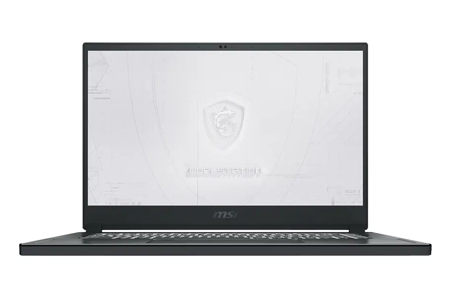 MSI Workstation WS66 10TK-222 0016V2-222