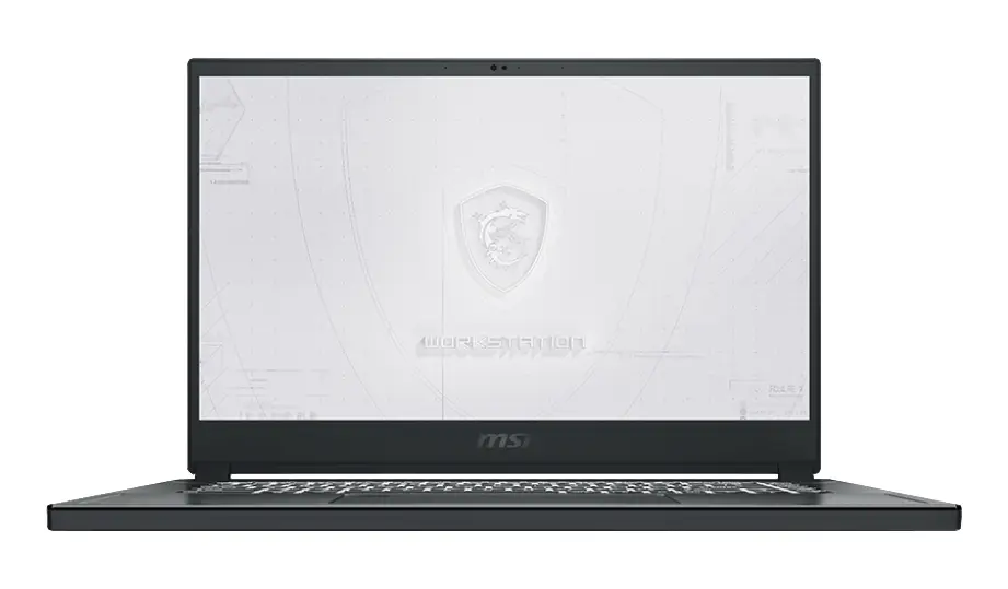 MSI Workstation WS66 10TL-220 0016V2-220