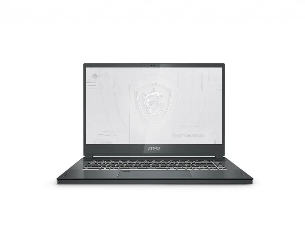 MSI Workstation WS66 11UKT-221 WS6611221