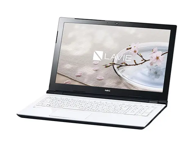 NEC LAVIE Direct NS (e) PC-GN21DJSLDC5AD5YDA