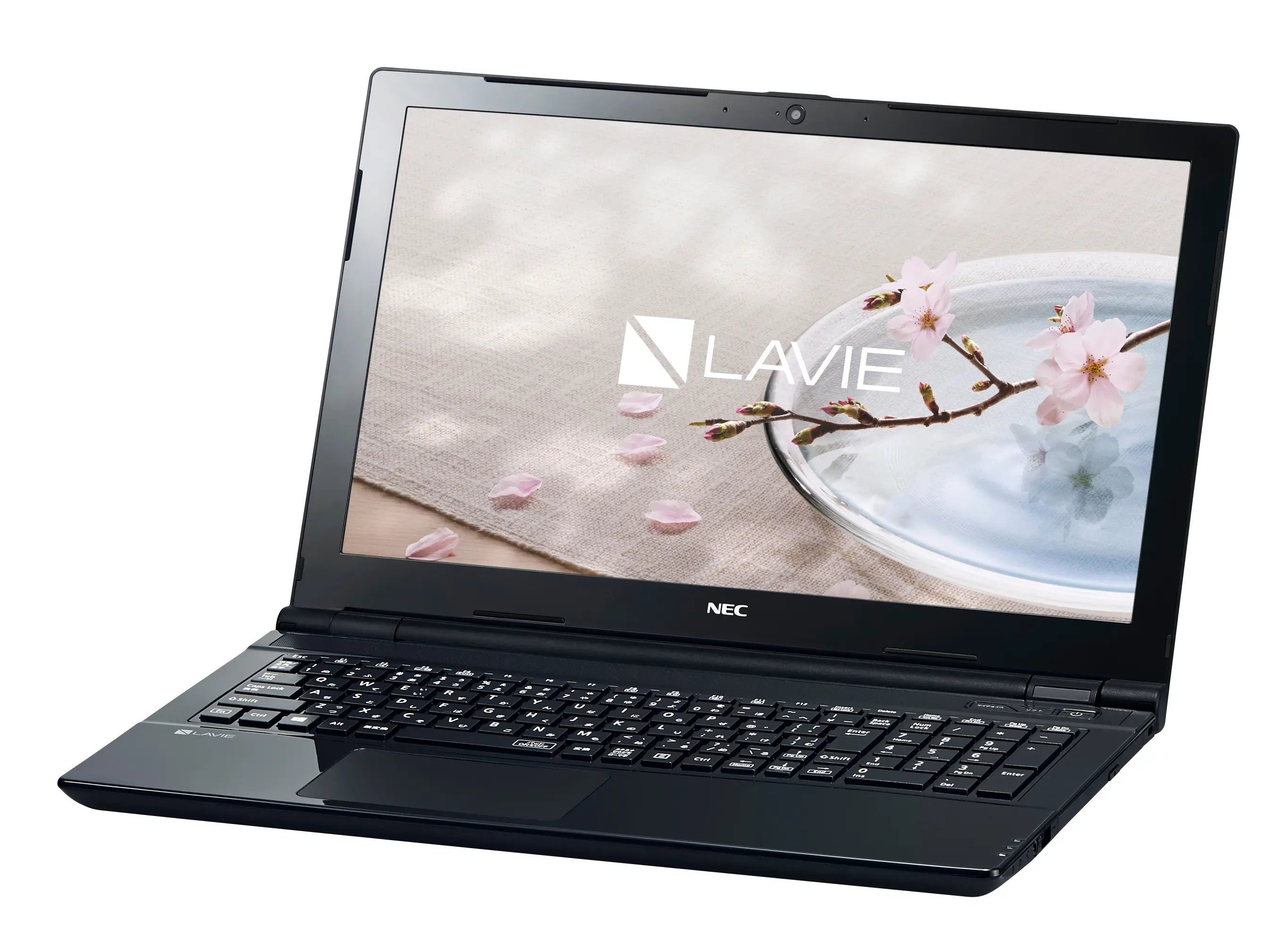 NEC LAVIE Direct NS (e) PC-GN21DLSLDC5AD5YDA