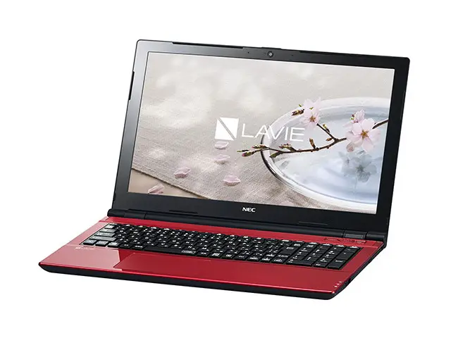 NEC LAVIE Direct NS (e) PC-GN21DNSLDC5AD5YDA