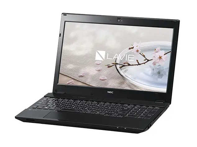 NEC LAVIE Direct NS(H) PC-GN254BCDDA1AD9YDA