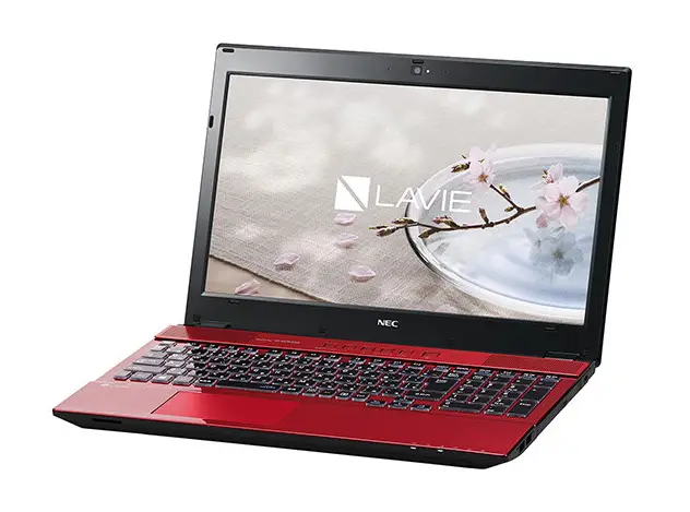 NEC LAVIE Direct NS(H) PC-GN254CCDDA1AD9YDA