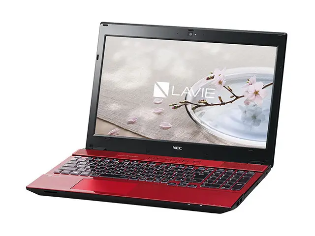 NEC LAVIE Direct NS(H) PC-GN276CCDDA1AD9YDA