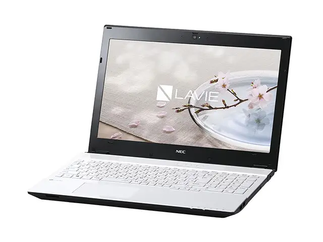 NEC LAVIE Direct NS(S) PC-GN242FSGDA5AD5YDA