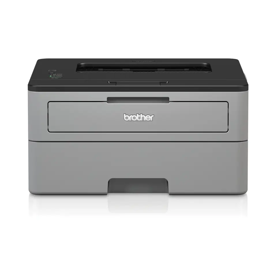 Brother HL-L2310D HLL2310DRF1