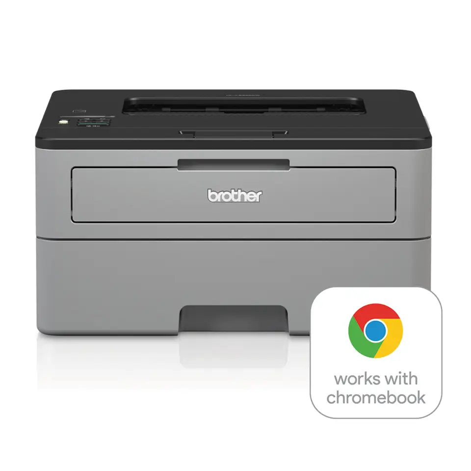 Brother HL-L2350DW HLL2350DWG1