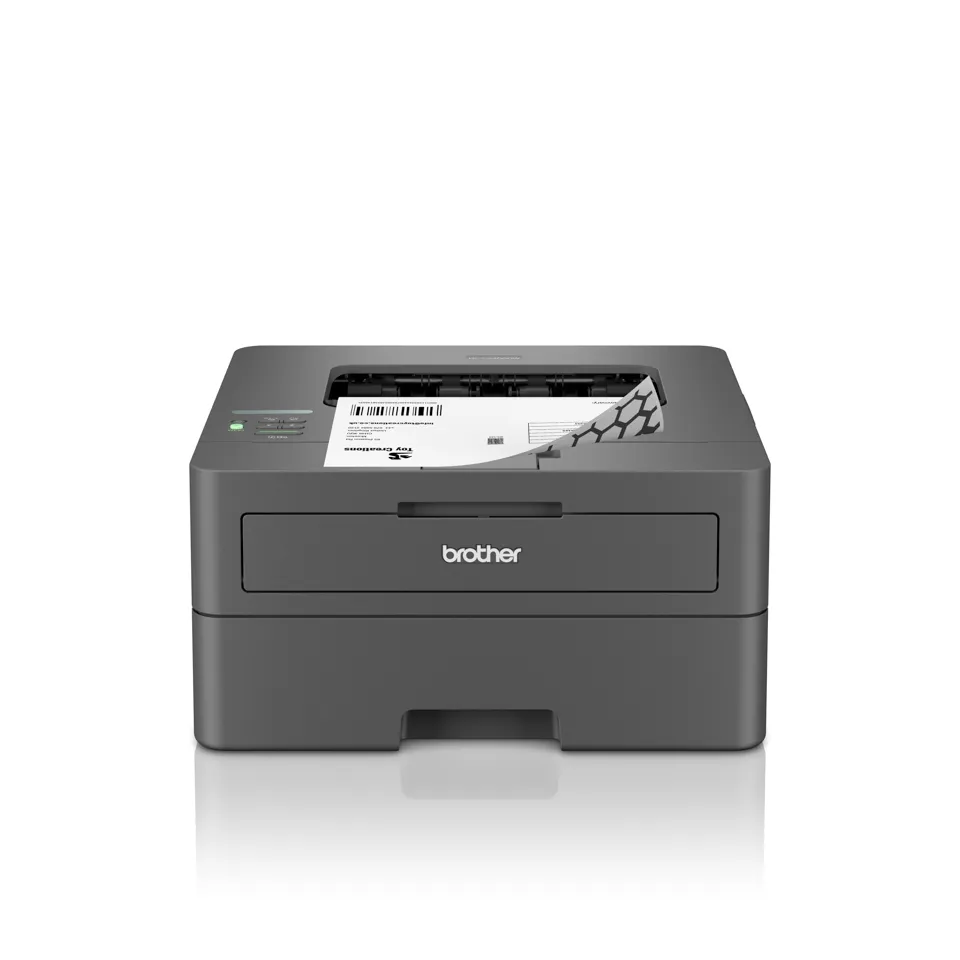 Brother HL-L2400DW HLL2400DWZU1