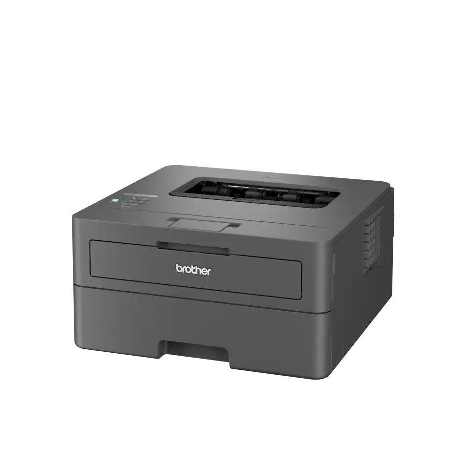 Brother HL-L2445DWZU1