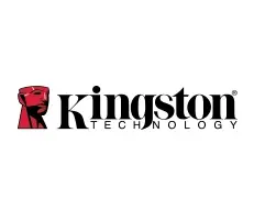 Kingston Technology 2GB DDR3-1333MHz KVR1333D3LS8R9S/2GHC