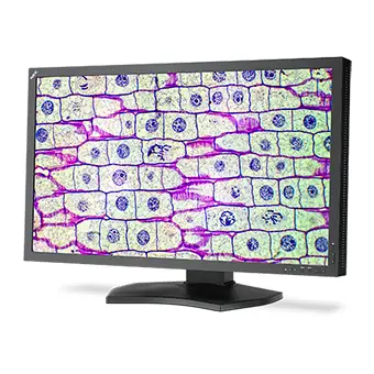 NEC MultiSync MD322C8 32 inç 120Hz 4K UHD Oyuncu Monitörü