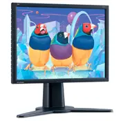 Viewsonic Professional Series 20IN 25MM 1600X1200 95HZ VP201B 20.1 inç Monitör