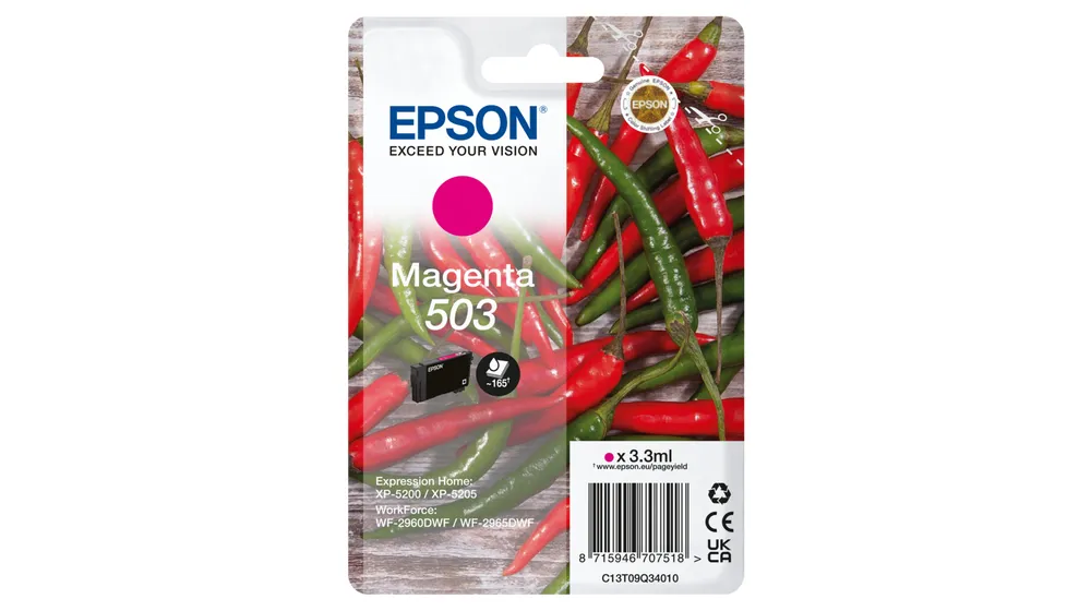 Epson 503 C13T09Q34010