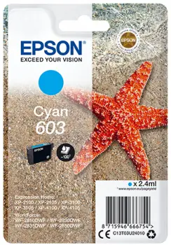 Epson 603 C13T03U240