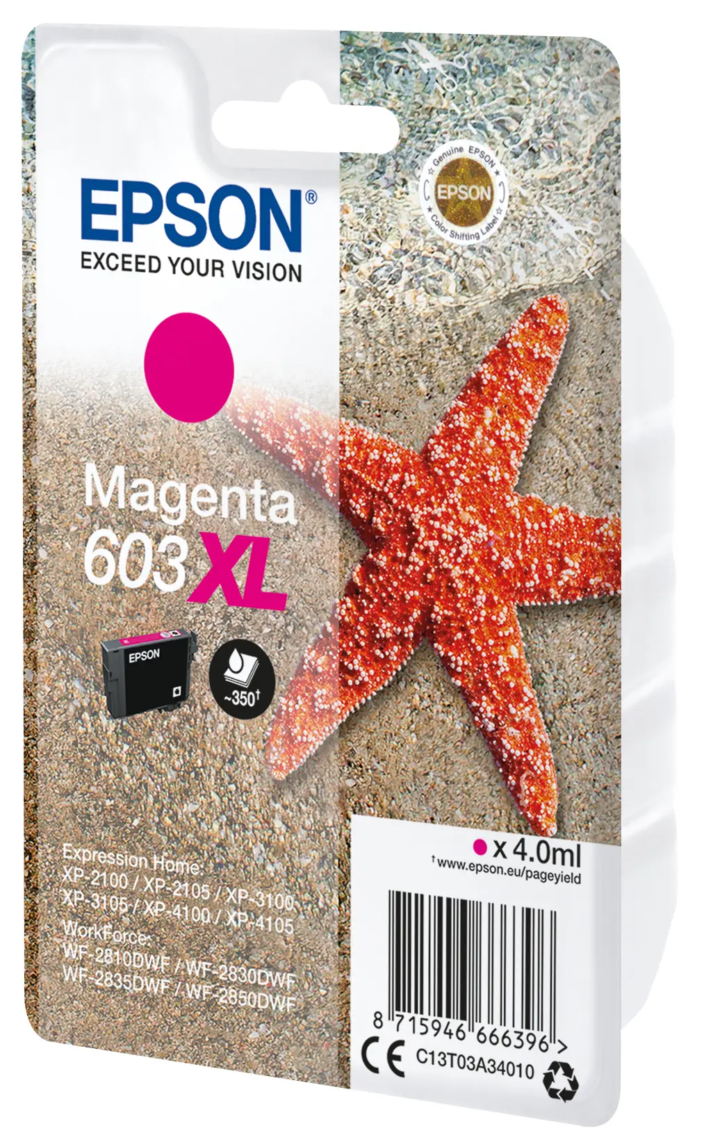 Epson C13T03A34010