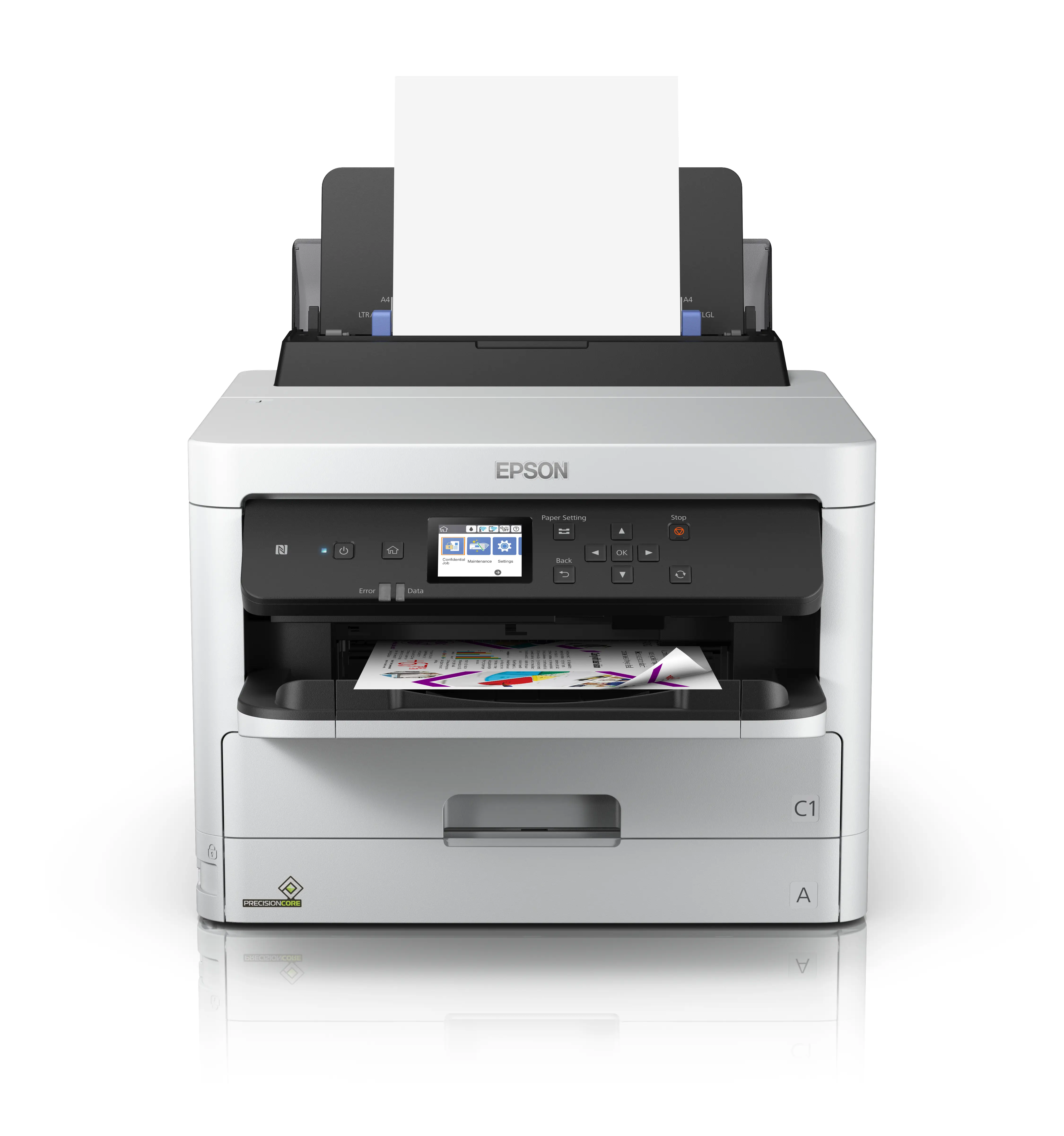 Epson DURABrite Pro C13T01D100