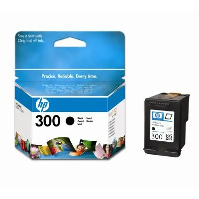 HP 300 Black Ink Cartridge CC640E