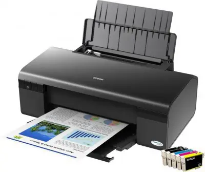 Epson Stylus D120 C11C687303