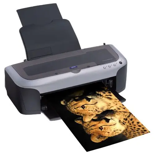 Epson Stylus Photo 2100 C11C387081CU