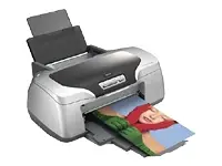 Epson STYLUS PHOTO R800 5760DPI C11C550021