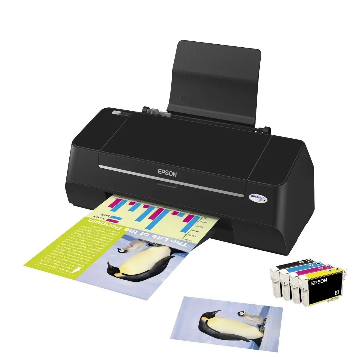 Epson Stylus S21 C11CA43302