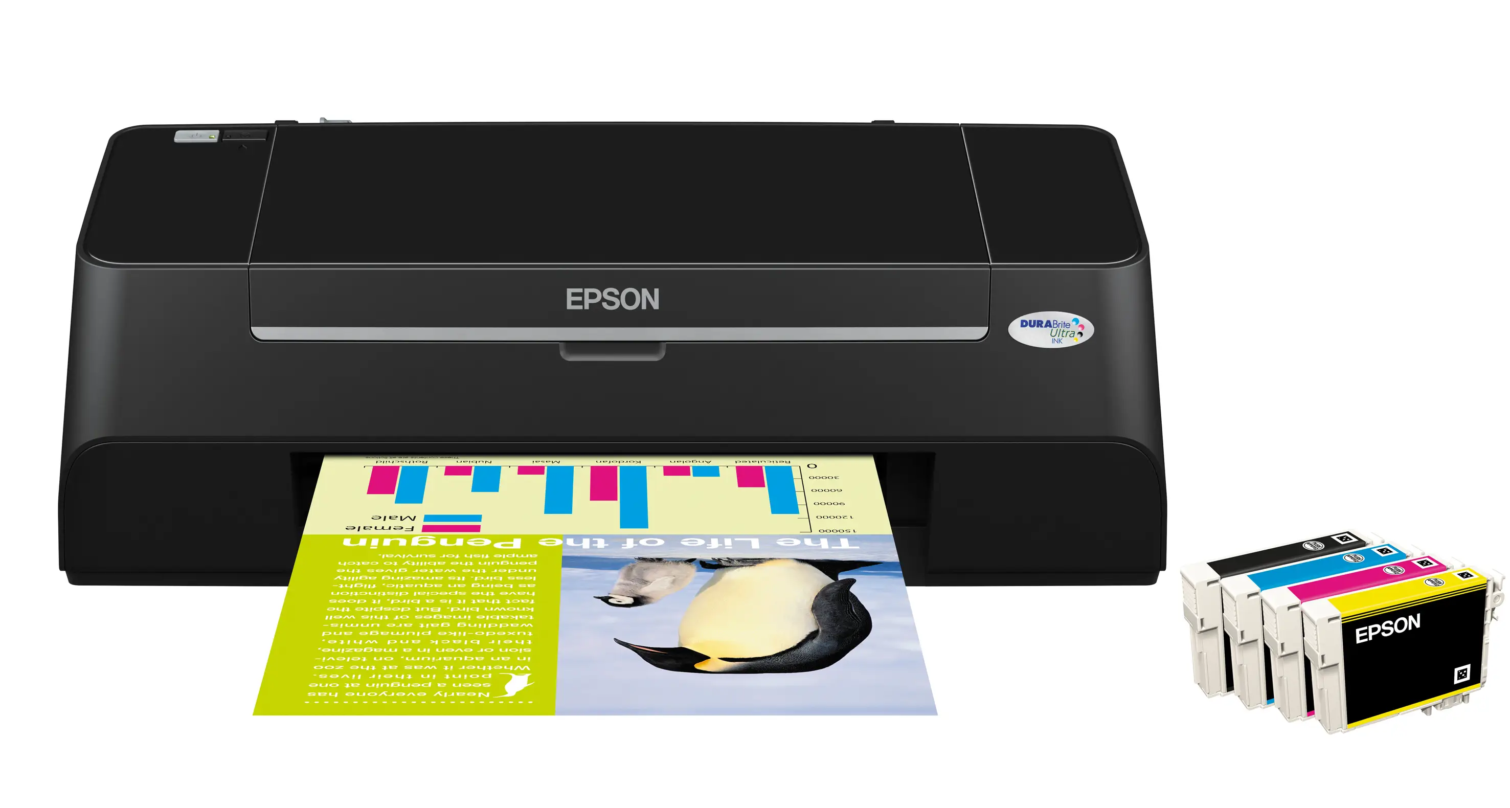 Epson Stylus S21 C11CA43301